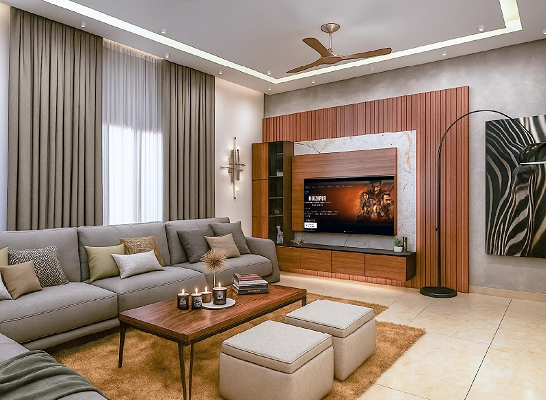 Living room interior design
